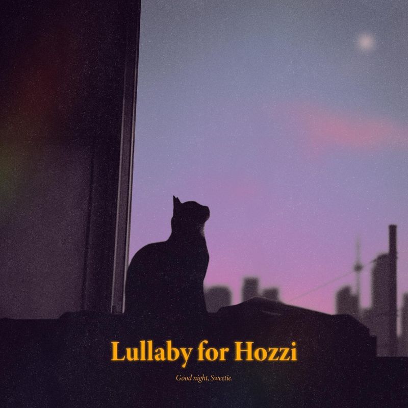 김새얀 - Lullaby for Hozzi