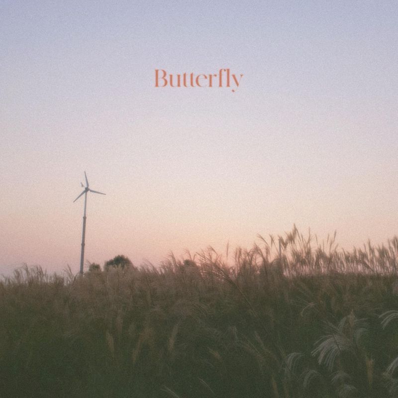 지음 (JIEUM) - Butterfly